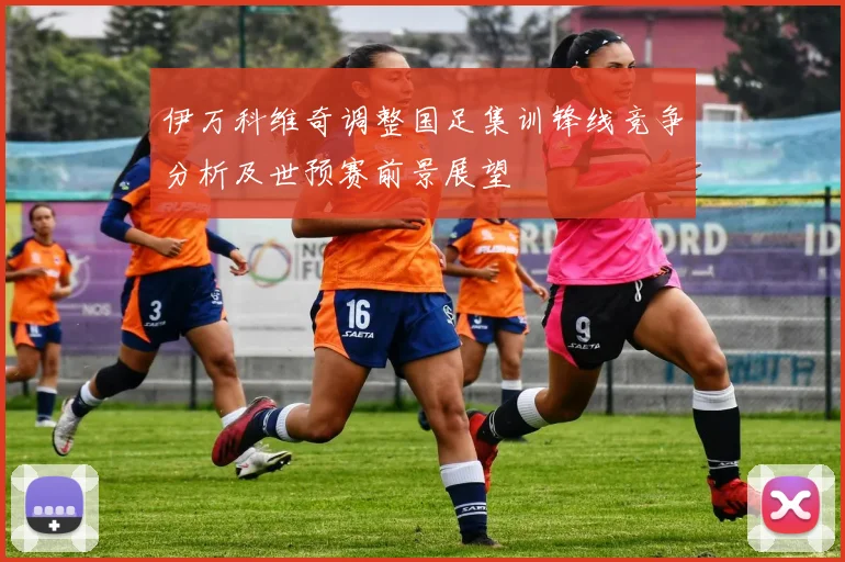 伊万科维奇调整国足集训锋线竞争分析及世预赛前景展望